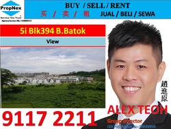 Blk 394 Bukit Batok West Avenue 5 (Bukit Batok), HDB 5 Rooms #161111912